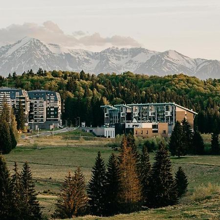 Edelweiss Apartments Silver Resort ポイアナ・ブラショフ エクステリア 写真