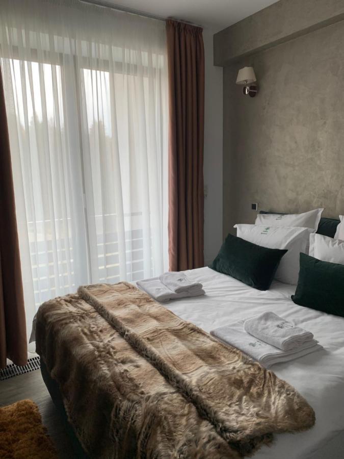 Edelweiss Apartments Silver Resort ポイアナ・ブラショフ エクステリア 写真