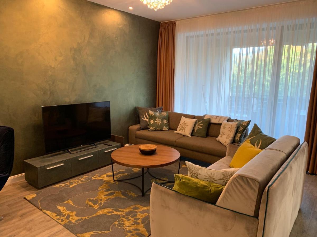Edelweiss Apartments Silver Resort ポイアナ・ブラショフ エクステリア 写真