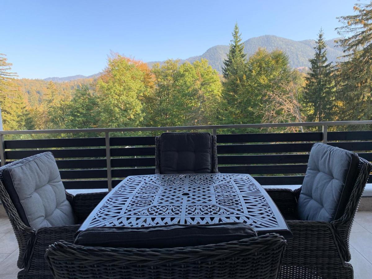 Edelweiss Apartments Silver Resort ポイアナ・ブラショフ エクステリア 写真