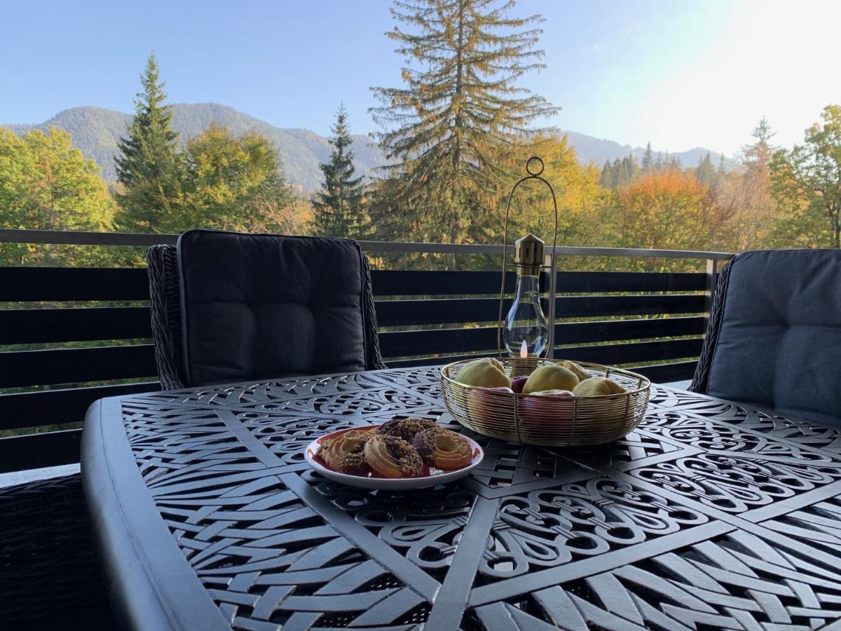 Edelweiss Apartments Silver Resort ポイアナ・ブラショフ エクステリア 写真