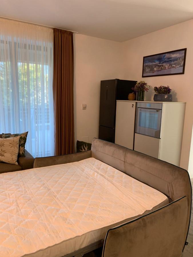 Edelweiss Apartments Silver Resort ポイアナ・ブラショフ エクステリア 写真