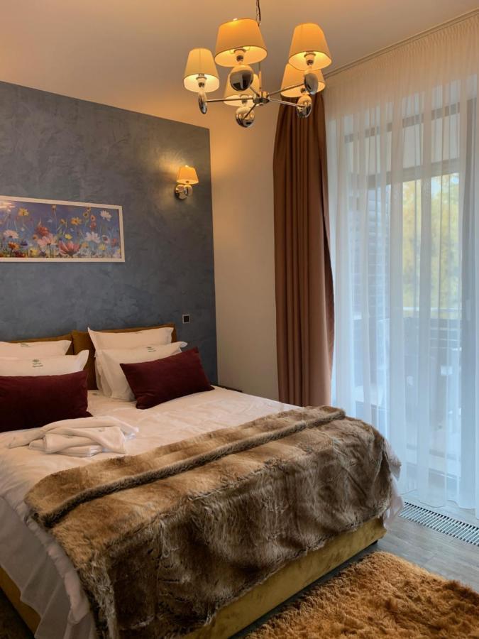 Edelweiss Apartments Silver Resort ポイアナ・ブラショフ エクステリア 写真