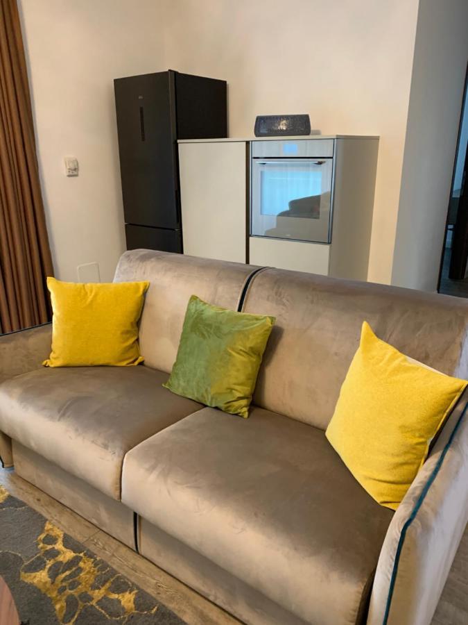 Edelweiss Apartments Silver Resort ポイアナ・ブラショフ エクステリア 写真