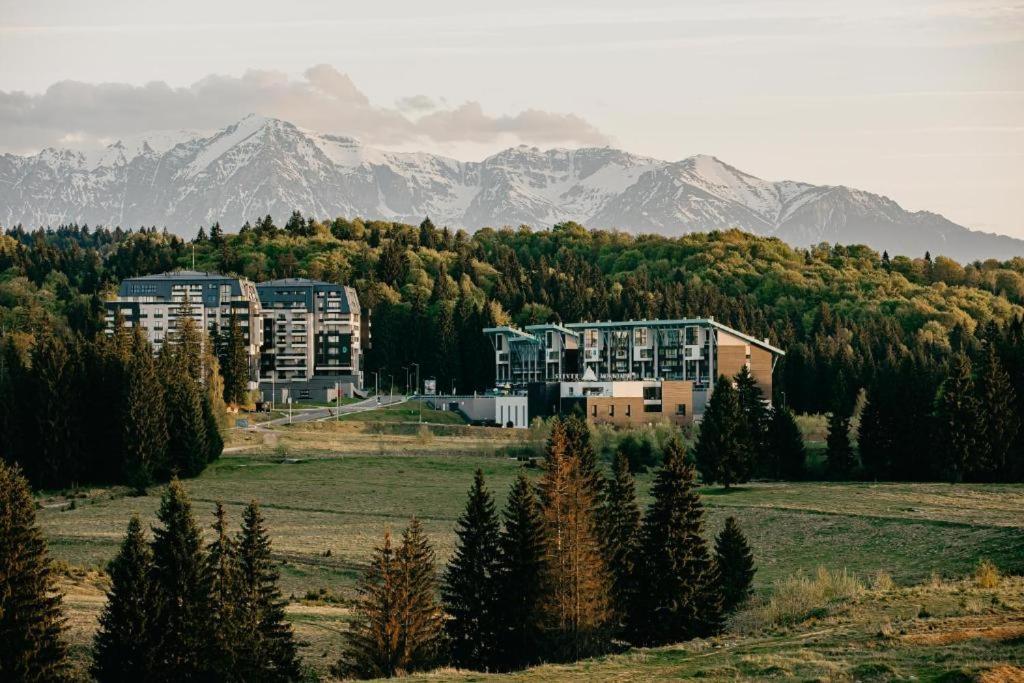 Edelweiss Apartments Silver Resort ポイアナ・ブラショフ エクステリア 写真